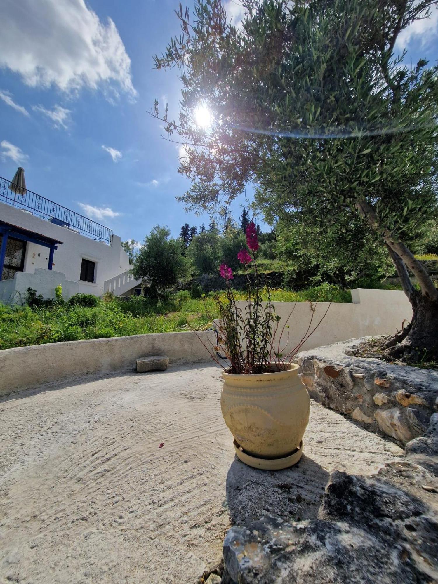 Arménoi Stefanos Garden 아파트 외부 사진