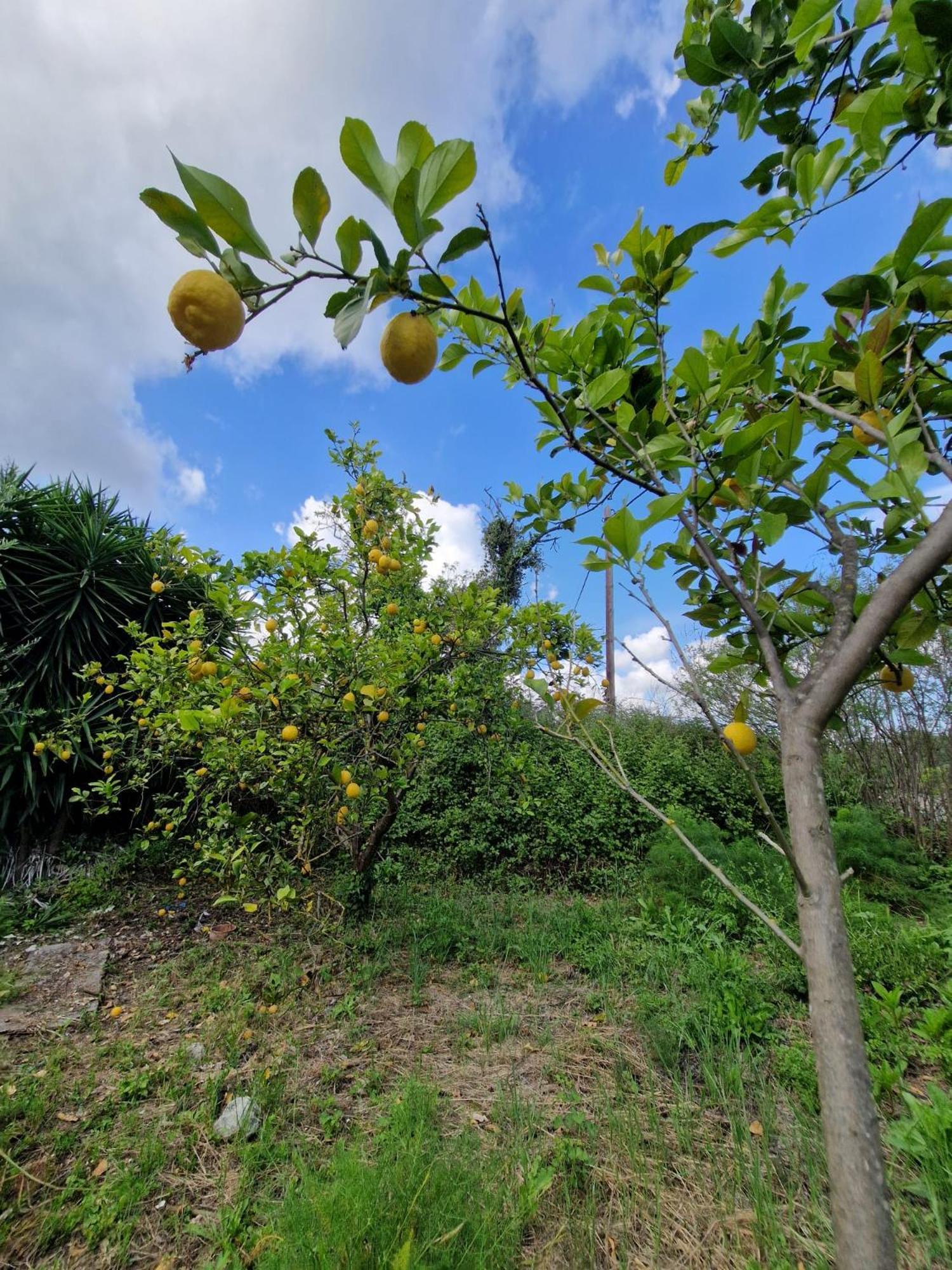 Arménoi Stefanos Garden 아파트 외부 사진