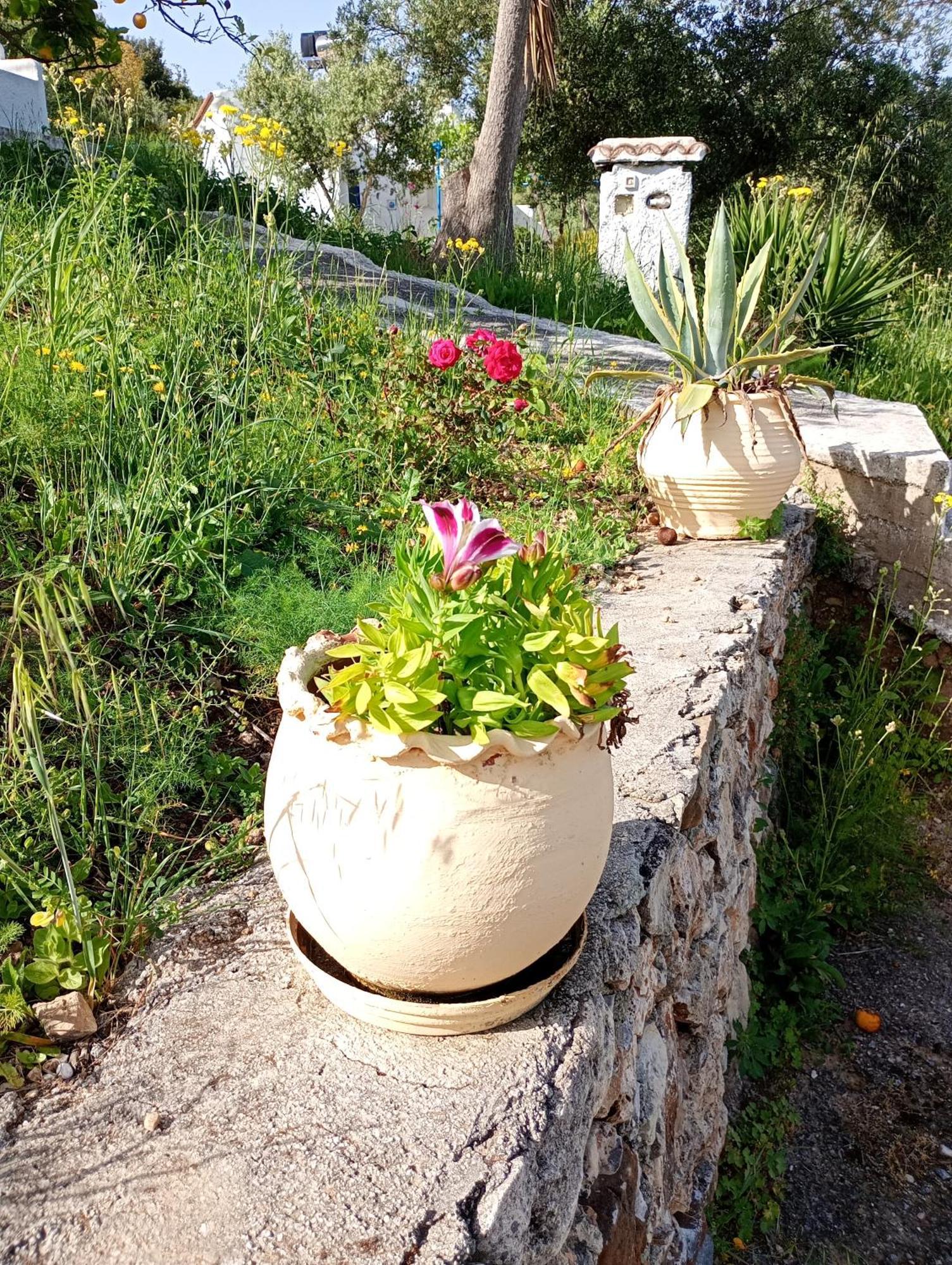 Arménoi Stefanos Garden 아파트 객실 사진